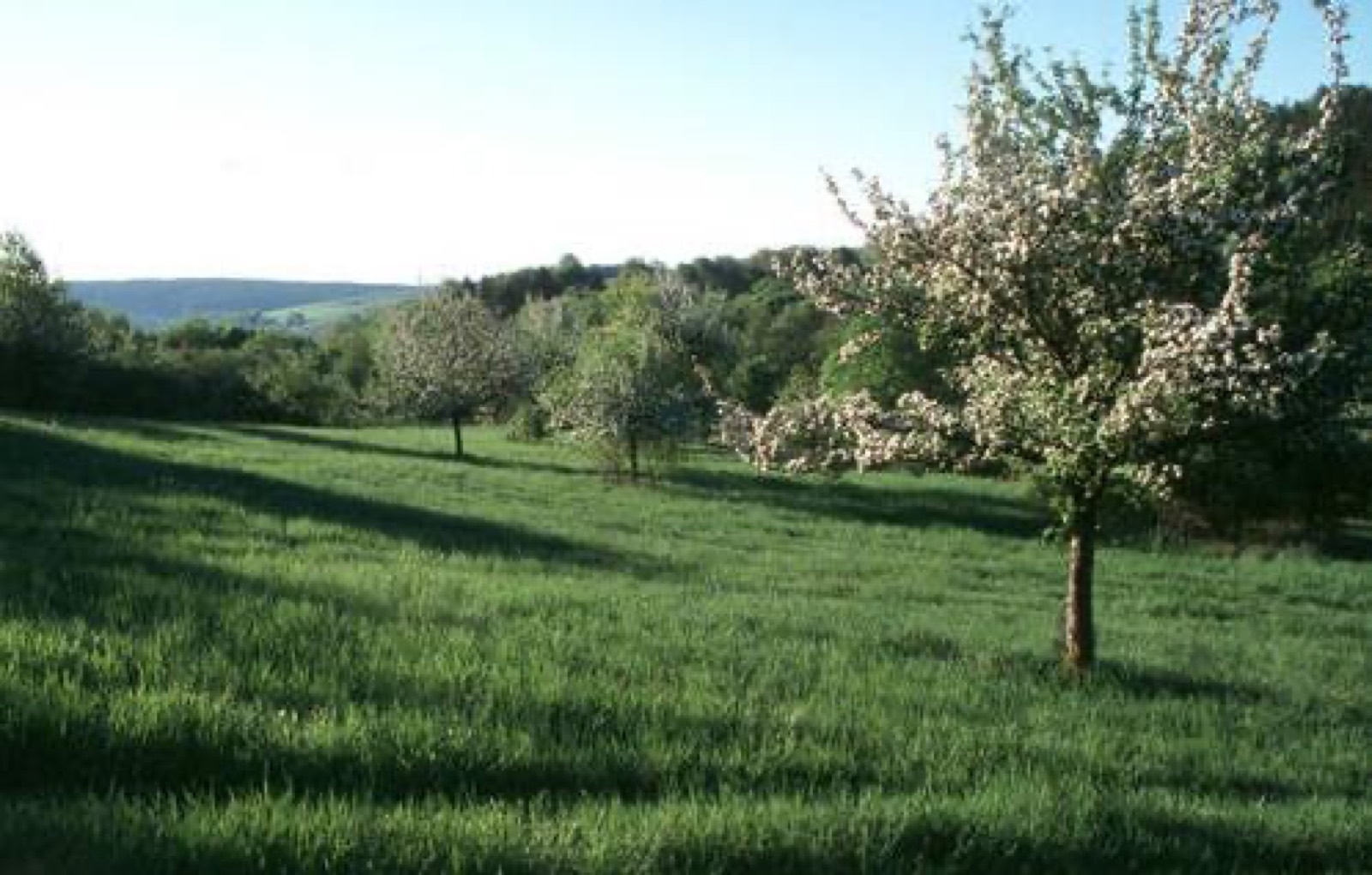 CHKO Bílé Karpaty