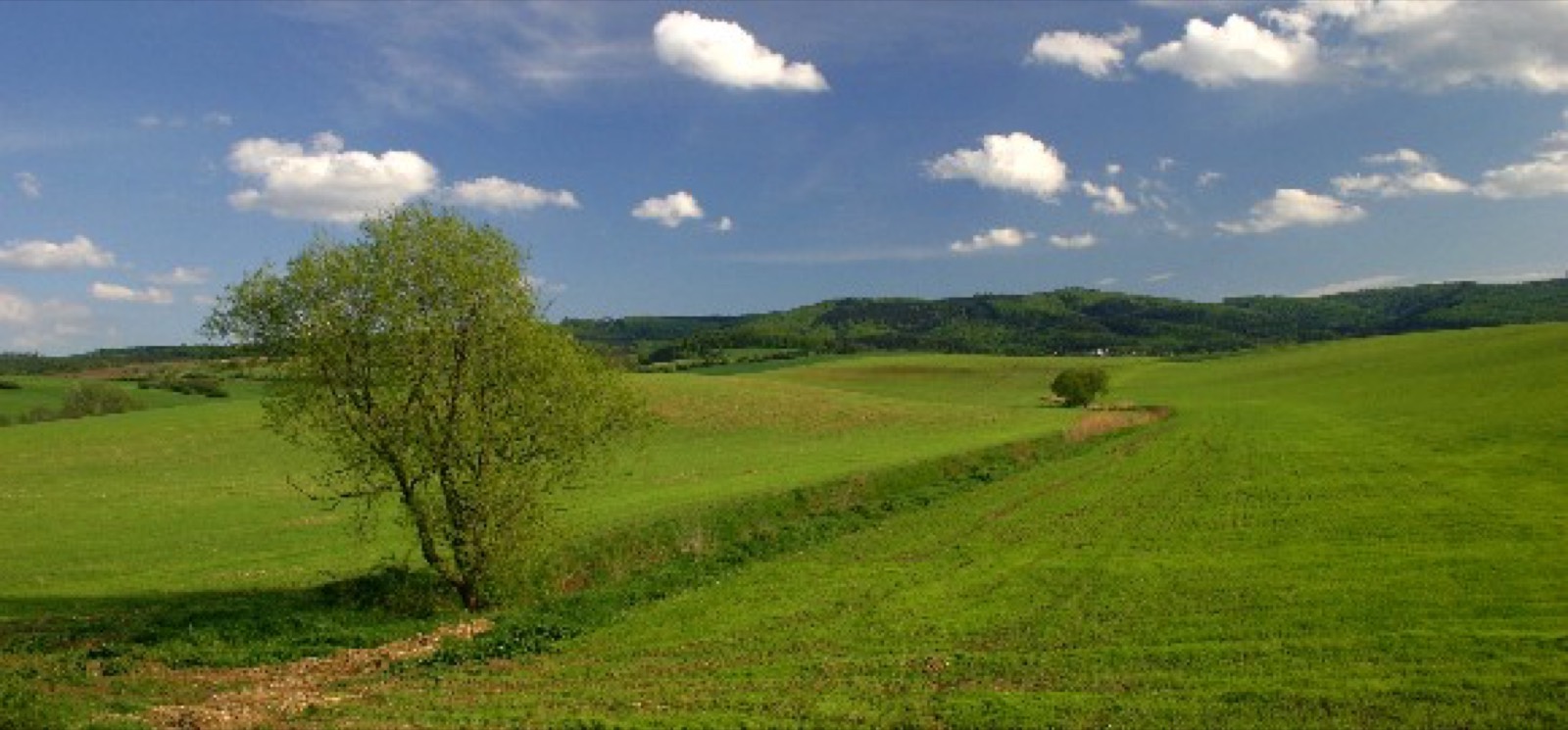 Přírodní park Chřiby